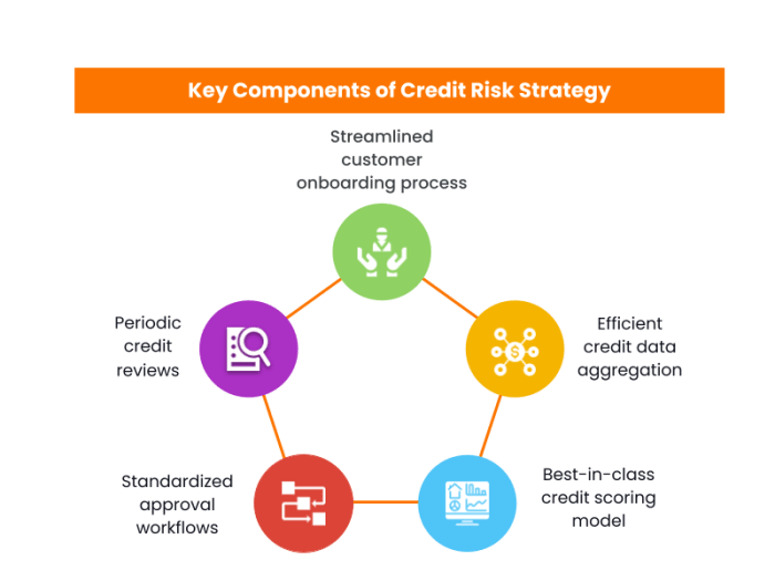 Credit risk management strategies for lenders